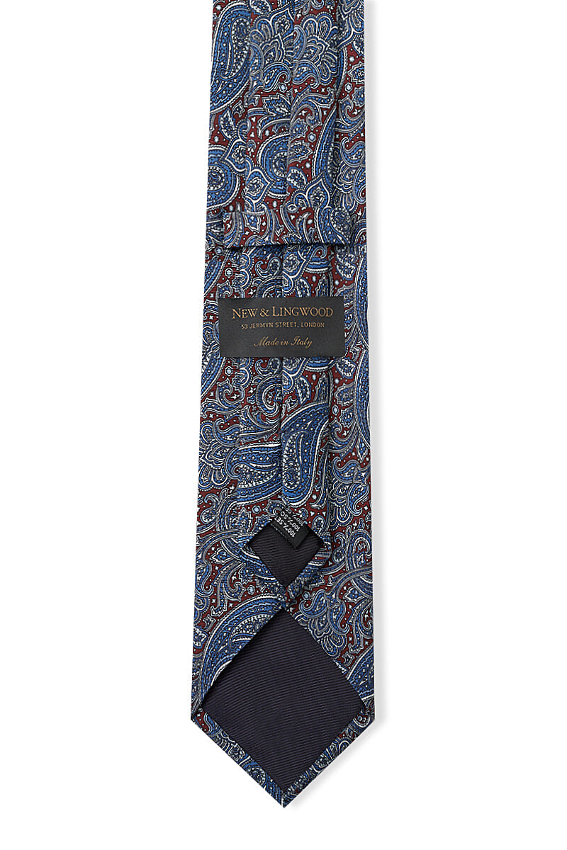 Blue & Red Paisley Silk Tie