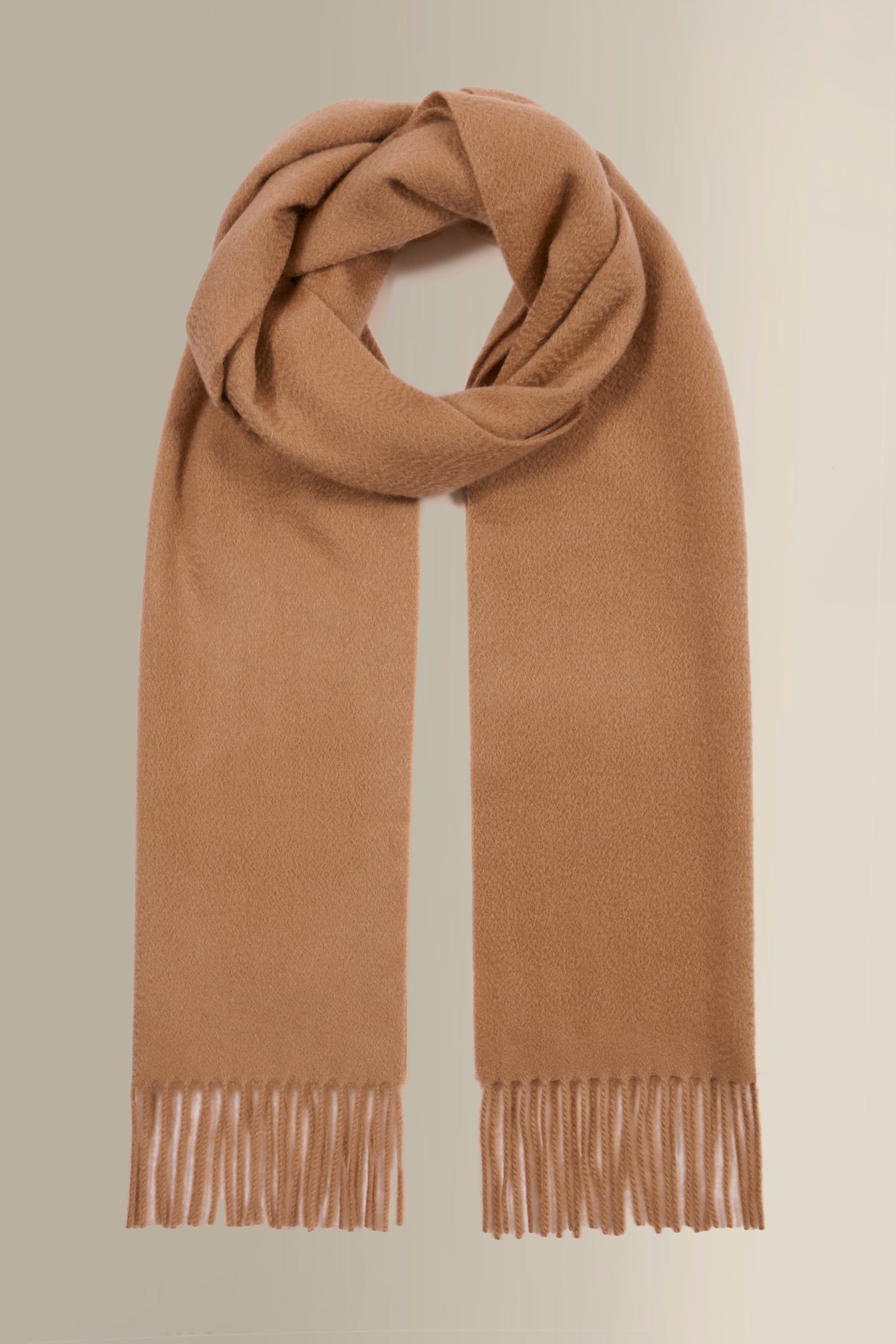 Camel Cashmere Scarf