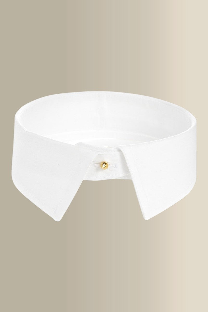 Cameron Deep Cutaway Stiff Collar
