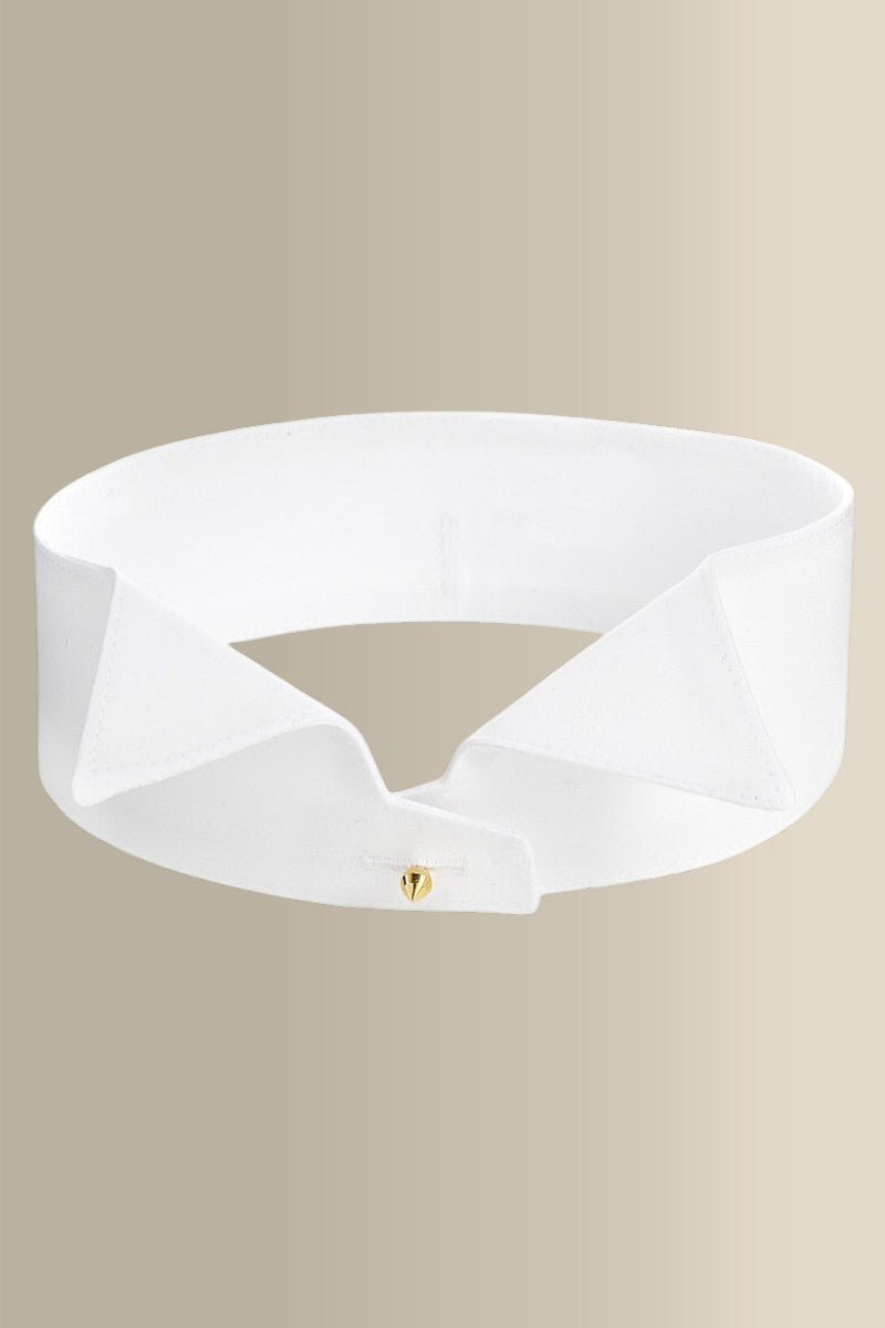 Regular Wing Stiff Collar