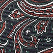 Green & Navy Paisley Silk Tie