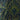 {"id":8356021895318,"title":"Green \u0026 Blue Crystal Paisley Unlined Silk Dressing Gown","handle":"crystal-paisley-unlined-dressing-gown-green","description":"\u003cp\u003eThe crystal paisley design gives this silk dressing gown an unmistakable sense of occasion, combining rich shades of green and blue with intricate detailing inspired by classic English patterns. Cut from pure silk and left unlined, it drapes effortlessly over the body with a smooth, fluid feel that makes it as comfortable as it is elegant. Self-faced throughout and finished with contrasting twisted piping, it features three piped patch pockets for a refined finishing touch. Handmade in the United Kingdom, it is equally suited to slow mornings and relaxed evenings at home.\u003c\/p\u003e","published_at":"2026-07-28T15:32:14Z","created_at":"2025-02-28T17:14:54Z","vendor":"new-and-lingwood","type":"","tags":["All Dressing Gowns","AW26","Coming Soon","Dressing Gowns","Full Price","Loungewear","Silk"],"price":129500,"price_min":129500,"price_max":129500,"available":false,"price_varies":false,"compare_at_price":null,"compare_at_price_min":0,"compare_at_price_max":0,"compare_at_price_varies":false,"variants":[{"id":44551737213078,"title":"XS","option1":"XS","option2":null,"option3":null,"sku":"4022635-810-XS","requires_shipping":true,"taxable":true,"featured_image":null,"available":false,"name":"Green \u0026 Blue Crystal Paisley Unlined Silk Dressing Gown - XS","public_title":"XS","options":["XS"],"price":129500,"weight":0,"compare_at_price":null,"inventory_management":"shopify","barcode":"5056661603635","requires_selling_plan":false,"selling_plan_allocations":[],"quantity_rule":{"min":1,"max":null,"increment":1}},{"id":44551737245846,"title":"S","option1":"S","option2":null,"option3":null,"sku":"4022635-810-S","requires_shipping":true,"taxable":true,"featured_image":null,"available":false,"name":"Green \u0026 Blue Crystal Paisley Unlined Silk Dressing Gown - S","public_title":"S","options":["S"],"price":129500,"weight":0,"compare_at_price":null,"inventory_management":"shopify","barcode":"5056661603642","requires_selling_plan":false,"selling_plan_allocations":[],"quantity_rule":{"min":1,"max":null,"increment":1}},{"id":44551737278614,"title":"M","option1":"M","option2":null,"option3":null,"sku":"4022635-810-M","requires_shipping":true,"taxable":true,"featured_image":null,"available":false,"name":"Green \u0026 Blue Crystal Paisley Unlined Silk Dressing Gown - M","public_title":"M","options":["M"],"price":129500,"weight":0,"compare_at_price":null,"inventory_management":"shopify","barcode":"5056661603659","requires_selling_plan":false,"selling_plan_allocations":[],"quantity_rule":{"min":1,"max":null,"increment":1}},{"id":44551737311382,"title":"L","option1":"L","option2":null,"option3":null,"sku":"4022635-810-L","requires_shipping":true,"taxable":true,"featured_image":null,"available":false,"name":"Green \u0026 Blue Crystal Paisley Unlined Silk Dressing Gown - L","public_title":"L","options":["L"],"price":129500,"weight":0,"compare_at_price":null,"inventory_management":"shopify","barcode":"5056661603666","requires_selling_plan":false,"selling_plan_allocations":[],"quantity_rule":{"min":1,"max":null,"increment":1}},{"id":44551737376918,"title":"XL","option1":"XL","option2":null,"option3":null,"sku":"4022635-810-XL","requires_shipping":true,"taxable":true,"featured_image":null,"available":false,"name":"Green \u0026 Blue Crystal Paisley Unlined Silk Dressing Gown - XL","public_title":"XL","options":["XL"],"price":129500,"weight":0,"compare_at_price":null,"inventory_management":"shopify","barcode":"5056661603673","requires_selling_plan":false,"selling_plan_allocations":[],"quantity_rule":{"min":1,"max":null,"increment":1}},{"id":44551737442454,"title":"XXL","option1":"XXL","option2":null,"option3":null,"sku":"4022635-810-XXL","requires_shipping":true,"taxable":true,"featured_image":null,"available":false,"name":"Green \u0026 Blue Crystal Paisley Unlined Silk Dressing Gown - XXL","public_title":"XXL","options":["XXL"],"price":129500,"weight":0,"compare_at_price":null,"inventory_management":"shopify","barcode":"5056661603680","requires_selling_plan":false,"selling_plan_allocations":[],"quantity_rule":{"min":1,"max":null,"increment":1}}],"images":["\/\/newandlingwood.com\/cdn\/shop\/files\/4022635-Green_BlueCrystalPaisleyUnlinedSilkDressingGown-Hero.jpg?v=1785252305","\/\/newandlingwood.com\/cdn\/shop\/files\/4022635_CRYSTALPAISLEYSILKUNLINEDDRESSINGGOWN_GREEN_2.jpg?v=1783351362","\/\/newandlingwood.com\/cdn\/shop\/files\/4022635CRYSTALPAISLEYSILKUNLINEDDRESSINGGOWN_003.jpg?v=1783351362","\/\/newandlingwood.com\/cdn\/shop\/files\/4022635CRYSTALPAISLEYSILKUNLINEDDRESSINGGOWN_049.jpg?v=1783351362","\/\/newandlingwood.com\/cdn\/shop\/files\/4022635CRYSTALPAISLEYSILKUNLINEDDRESSINGGOWN_065.jpg?v=1783351363","\/\/newandlingwood.com\/cdn\/shop\/files\/4022635CRYSTALPAISLEYSILKUNLINEDDRESSINGGOWN_082.jpg?v=1783351362","\/\/newandlingwood.com\/cdn\/shop\/files\/4022635CRYSTALPAISLEYSILKUNLINEDDRESSINGGOWN_088.jpg?v=1783351362"],"featured_image":"\/\/newandlingwood.com\/cdn\/shop\/files\/4022635-Green_BlueCrystalPaisleyUnlinedSilkDressingGown-Hero.jpg?v=1785252305","options":["Size"],"media":[{"alt":null,"id":32871093698710,"position":1,"preview_image":{"aspect_ratio":0.667,"height":1200,"width":800,"src":"\/\/newandlingwood.com\/cdn\/shop\/files\/4022635-Green_BlueCrystalPaisleyUnlinedSilkDressingGown-Hero.jpg?v=1785252305"},"aspect_ratio":0.667,"height":1200,"media_type":"image","src":"\/\/newandlingwood.com\/cdn\/shop\/files\/4022635-Green_BlueCrystalPaisleyUnlinedSilkDressingGown-Hero.jpg?v=1785252305","width":800},{"alt":null,"id":32818711167126,"position":2,"preview_image":{"aspect_ratio":0.667,"height":1200,"width":800,"src":"\/\/newandlingwood.com\/cdn\/shop\/files\/4022635_CRYSTALPAISLEYSILKUNLINEDDRESSINGGOWN_GREEN_2.jpg?v=1783351362"},"aspect_ratio":0.667,"height":1200,"media_type":"image","src":"\/\/newandlingwood.com\/cdn\/shop\/files\/4022635_CRYSTALPAISLEYSILKUNLINEDDRESSINGGOWN_GREEN_2.jpg?v=1783351362","width":800},{"alt":null,"id":32818711199894,"position":3,"preview_image":{"aspect_ratio":0.667,"height":5688,"width":3792,"src":"\/\/newandlingwood.com\/cdn\/shop\/files\/4022635CRYSTALPAISLEYSILKUNLINEDDRESSINGGOWN_003.jpg?v=1783351362"},"aspect_ratio":0.667,"height":5688,"media_type":"image","src":"\/\/newandlingwood.com\/cdn\/shop\/files\/4022635CRYSTALPAISLEYSILKUNLINEDDRESSINGGOWN_003.jpg?v=1783351362","width":3792},{"alt":null,"id":32818711232662,"position":4,"preview_image":{"aspect_ratio":0.667,"height":5741,"width":3827,"src":"\/\/newandlingwood.com\/cdn\/shop\/files\/4022635CRYSTALPAISLEYSILKUNLINEDDRESSINGGOWN_049.jpg?v=1783351362"},"aspect_ratio":0.667,"height":5741,"media_type":"image","src":"\/\/newandlingwood.com\/cdn\/shop\/files\/4022635CRYSTALPAISLEYSILKUNLINEDDRESSINGGOWN_049.jpg?v=1783351362","width":3827},{"alt":null,"id":32818711265430,"position":5,"preview_image":{"aspect_ratio":0.667,"height":5990,"width":3993,"src":"\/\/newandlingwood.com\/cdn\/shop\/files\/4022635CRYSTALPAISLEYSILKUNLINEDDRESSINGGOWN_065.jpg?v=1783351363"},"aspect_ratio":0.667,"height":5990,"media_type":"image","src":"\/\/newandlingwood.com\/cdn\/shop\/files\/4022635CRYSTALPAISLEYSILKUNLINEDDRESSINGGOWN_065.jpg?v=1783351363","width":3993},{"alt":null,"id":32818711298198,"position":6,"preview_image":{"aspect_ratio":0.667,"height":5864,"width":3909,"src":"\/\/newandlingwood.com\/cdn\/shop\/files\/4022635CRYSTALPAISLEYSILKUNLINEDDRESSINGGOWN_082.jpg?v=1783351362"},"aspect_ratio":0.667,"height":5864,"media_type":"image","src":"\/\/newandlingwood.com\/cdn\/shop\/files\/4022635CRYSTALPAISLEYSILKUNLINEDDRESSINGGOWN_082.jpg?v=1783351362","width":3909},{"alt":null,"id":32818711330966,"position":7,"preview_image":{"aspect_ratio":0.667,"height":5402,"width":3601,"src":"\/\/newandlingwood.com\/cdn\/shop\/files\/4022635CRYSTALPAISLEYSILKUNLINEDDRESSINGGOWN_088.jpg?v=1783351362"},"aspect_ratio":0.667,"height":5402,"media_type":"image","src":"\/\/newandlingwood.com\/cdn\/shop\/files\/4022635CRYSTALPAISLEYSILKUNLINEDDRESSINGGOWN_088.jpg?v=1783351362","width":3601}],"requires_selling_plan":false,"selling_plan_groups":[],"content":"\u003cp\u003eThe crystal paisley design gives this silk dressing gown an unmistakable sense of occasion, combining rich shades of green and blue with intricate detailing inspired by classic English patterns. Cut from pure silk and left unlined, it drapes effortlessly over the body with a smooth, fluid feel that makes it as comfortable as it is elegant. Self-faced throughout and finished with contrasting twisted piping, it features three piped patch pockets for a refined finishing touch. Handmade in the United Kingdom, it is equally suited to slow mornings and relaxed evenings at home.\u003c\/p\u003e"}