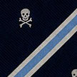 Navy & Blue Stripe Heritage Skull & Crossbones Woven Silk Tie