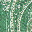 Green Paisley Printed Linen & Silk Tie