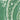 {"id":8629595144342,"title":"Green Paisley Printed Linen \u0026 Silk Tie","handle":"printed-paisley-silk-linen-tie-green","description":"\u003cp\u003e\u003cspan\u003eExpertly woven from a luxurious silk and linen blend in London, this green paisley tie features understated depth—while the silk lends a gentle sheen, the linen imparting natural character and breathability. Rendered in a classic paisley motif, the design offers timeless appeal with the 9.5cm blade width sits comfortably between classic and contemporary, while the semi-bottle construction allows for a clean, well-proportioned knot. Finished with self-tipped detailing, this tie makes a considered addition to any tailored wardrobe, equally suited to linen suits, blazers, or a crisp cotton shirt.\u003c\/span\u003e\u003c\/p\u003e","published_at":"2026-05-14T16:13:13Z","created_at":"2026-03-17T16:52:05Z","vendor":"New and Lingwood","type":"","tags":["All Accessories","Full Price","Linen","New Arrivals","Silk","SS26","Ties","Wedding Accessories"],"price":14500,"price_min":14500,"price_max":14500,"available":true,"price_varies":false,"compare_at_price":null,"compare_at_price_min":0,"compare_at_price_max":0,"compare_at_price_varies":false,"variants":[{"id":46297457393814,"title":"One Size","option1":"One Size","option2":null,"option3":null,"sku":"3021357-800-One Size","requires_shipping":true,"taxable":true,"featured_image":null,"available":true,"name":"Green Paisley Printed Linen \u0026 Silk Tie - One Size","public_title":"One Size","options":["One Size"],"price":14500,"weight":0,"compare_at_price":null,"inventory_management":"shopify","barcode":"5056661679975","requires_selling_plan":false,"selling_plan_allocations":[],"quantity_rule":{"min":1,"max":null,"increment":1}}],"images":["\/\/newandlingwood.com\/cdn\/shop\/files\/3021357-SS26-mens-GreenPaisleyLinen_SilkTie-Hero.png?v=1778775098","\/\/newandlingwood.com\/cdn\/shop\/files\/3021357-SS26-mens-GreenPaisleyLinen_SilkTie-Back_Tied.jpg?v=1778775109","\/\/newandlingwood.com\/cdn\/shop\/files\/3021357-SS26-mens-GreenPaisleyLinen_SilkTie-Back.jpg?v=1778775113"],"featured_image":"\/\/newandlingwood.com\/cdn\/shop\/files\/3021357-SS26-mens-GreenPaisleyLinen_SilkTie-Hero.png?v=1778775098","options":["Size"],"media":[{"alt":null,"id":32666631766166,"position":1,"preview_image":{"aspect_ratio":0.666,"height":1537,"width":1023,"src":"\/\/newandlingwood.com\/cdn\/shop\/files\/3021357-SS26-mens-GreenPaisleyLinen_SilkTie-Hero.png?v=1778775098"},"aspect_ratio":0.666,"height":1537,"media_type":"image","src":"\/\/newandlingwood.com\/cdn\/shop\/files\/3021357-SS26-mens-GreenPaisleyLinen_SilkTie-Hero.png?v=1778775098","width":1023},{"alt":null,"id":32666632093846,"position":2,"preview_image":{"aspect_ratio":0.667,"height":3750,"width":2500,"src":"\/\/newandlingwood.com\/cdn\/shop\/files\/3021357-SS26-mens-GreenPaisleyLinen_SilkTie-Back_Tied.jpg?v=1778775109"},"aspect_ratio":0.667,"height":3750,"media_type":"image","src":"\/\/newandlingwood.com\/cdn\/shop\/files\/3021357-SS26-mens-GreenPaisleyLinen_SilkTie-Back_Tied.jpg?v=1778775109","width":2500},{"alt":null,"id":32666632224918,"position":3,"preview_image":{"aspect_ratio":0.667,"height":3750,"width":2500,"src":"\/\/newandlingwood.com\/cdn\/shop\/files\/3021357-SS26-mens-GreenPaisleyLinen_SilkTie-Back.jpg?v=1778775113"},"aspect_ratio":0.667,"height":3750,"media_type":"image","src":"\/\/newandlingwood.com\/cdn\/shop\/files\/3021357-SS26-mens-GreenPaisleyLinen_SilkTie-Back.jpg?v=1778775113","width":2500}],"requires_selling_plan":false,"selling_plan_groups":[],"content":"\u003cp\u003e\u003cspan\u003eExpertly woven from a luxurious silk and linen blend in London, this green paisley tie features understated depth—while the silk lends a gentle sheen, the linen imparting natural character and breathability. Rendered in a classic paisley motif, the design offers timeless appeal with the 9.5cm blade width sits comfortably between classic and contemporary, while the semi-bottle construction allows for a clean, well-proportioned knot. Finished with self-tipped detailing, this tie makes a considered addition to any tailored wardrobe, equally suited to linen suits, blazers, or a crisp cotton shirt.\u003c\/span\u003e\u003c\/p\u003e"}